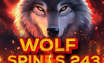 Wolf Spins 243